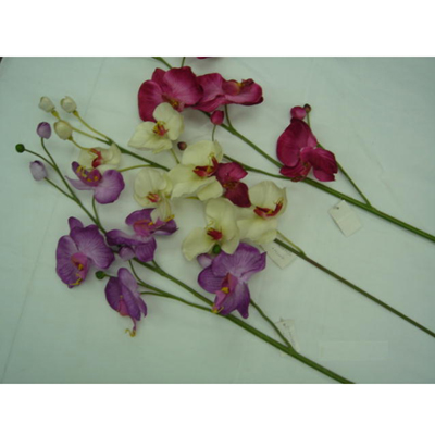 IMAGE_DESC_TAG