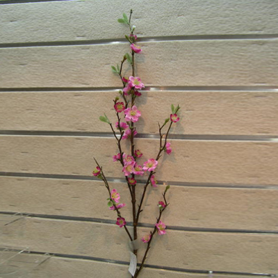 IMAGE_DESC_TAG